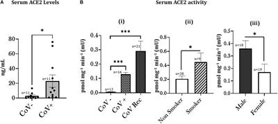 Persistently Increased Systemic ACE2 Activity Is Associated With an Increased Inflammatory Response in Smokers With COVID-19